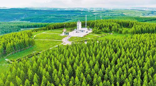 1764826748567627.jpg 1 (1).jpg