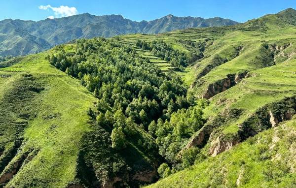 1764827326170983.jpg 4 (1).jpg