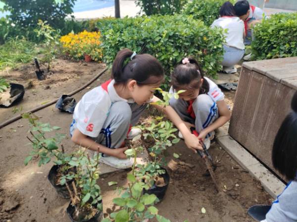 1764827736465383.jpg 5.jpg