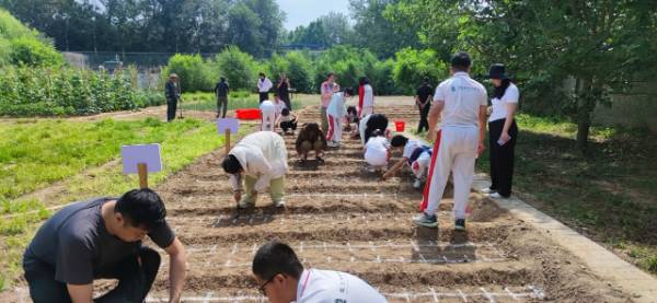 1764827744229367.jpg 6.jpg