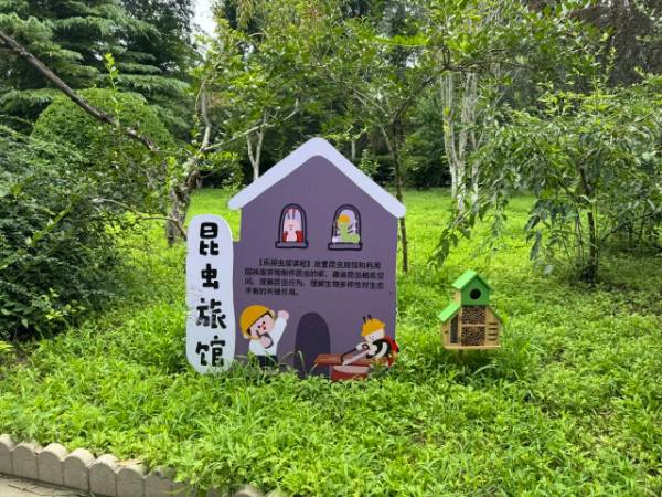 1764827770674376.jpg 9.jpg