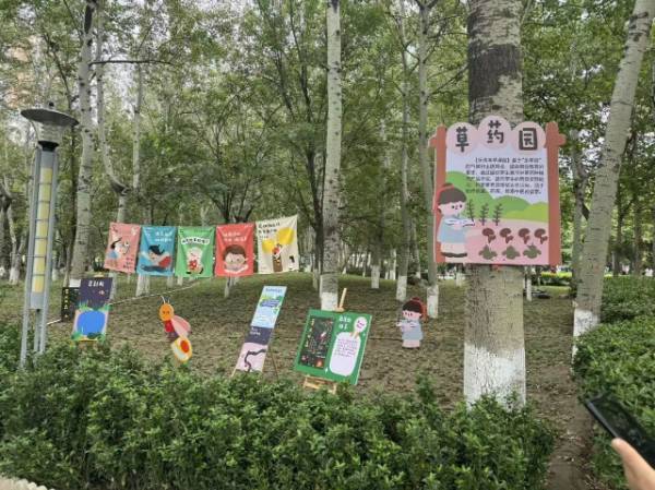 1764827778616870.jpg 10.jpg