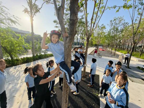 1764827842896439.png 16.png