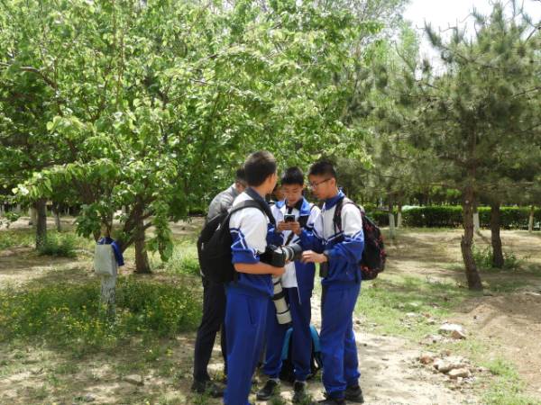 1764827845366815.jpg 17.jpg