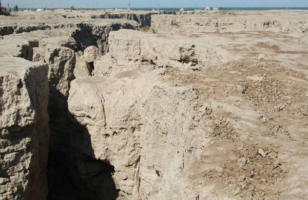 1764914376472952.jpg 2.jpg