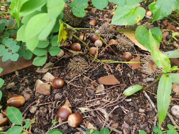 1764914884552342.png 7.png