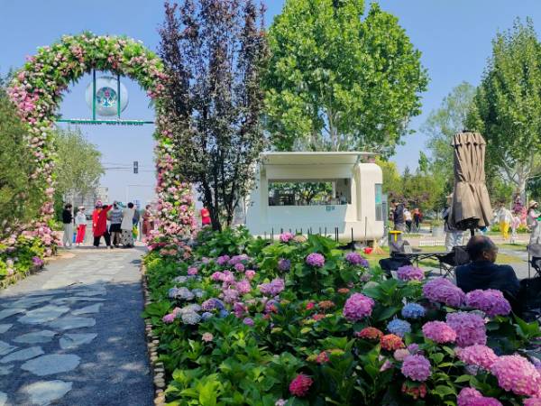 1764914899492435.png 8.png