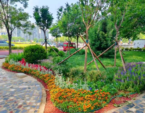 1764914925775671.png 9.png