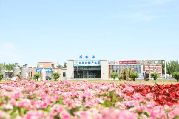 1764914957111969.png 11.png