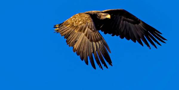 1764914997427156.png 14.png