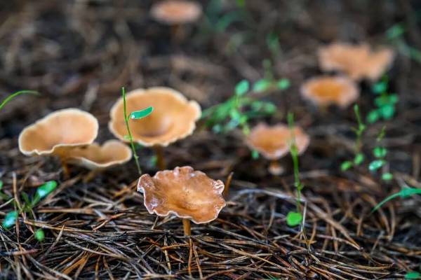 1765160989438747.jpg 7.jpg