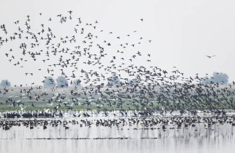 1765257995393117.jpg 3.jpg