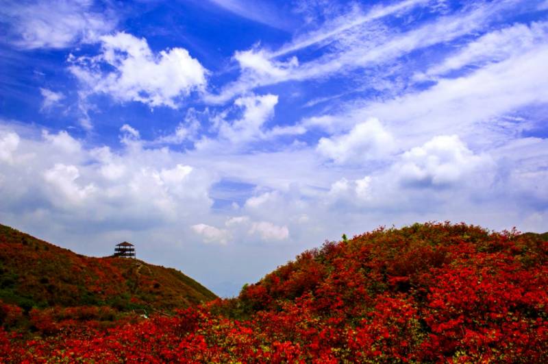 1765258005974102.png 4.png