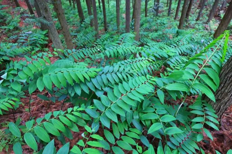 1765258100398727.jpg 11.jpg