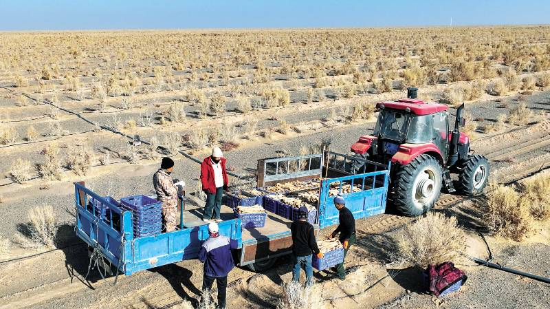 1765347802327354.jpg 5 (1).jpg