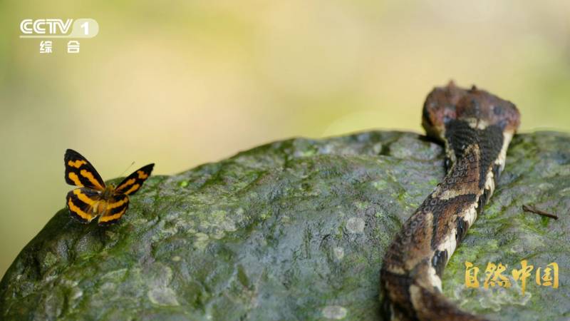 1765421753498702.jpg 7.jpg