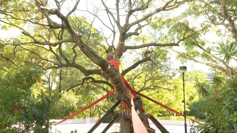 1765421919405804.jpg 8.jpg