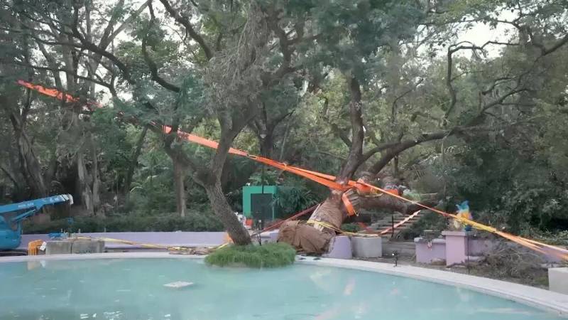 1765421926910410.jpg 9.jpg