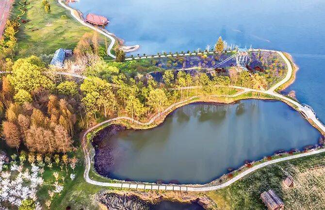 1765855203657169.jpg 1.jpg