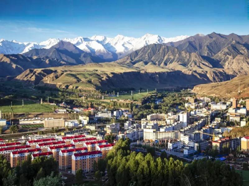 1766111732234164.jpg 1.jpg