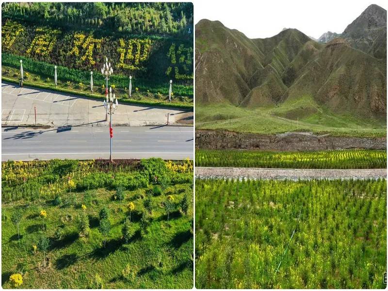 1766111749292920.jpg 3.jpg