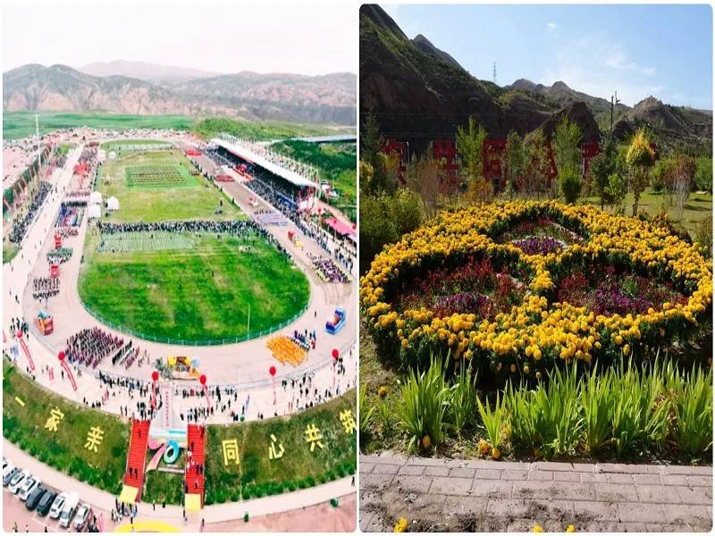 1766111771361164.jpg 5.jpg