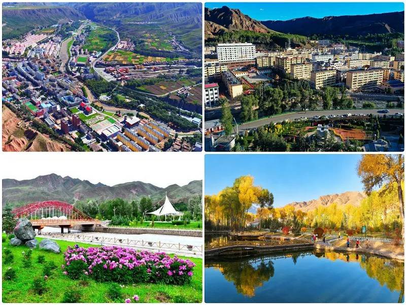 1766111780101782.jpg 6.jpg