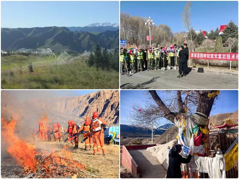 1766111789709417.jpg 7.jpg