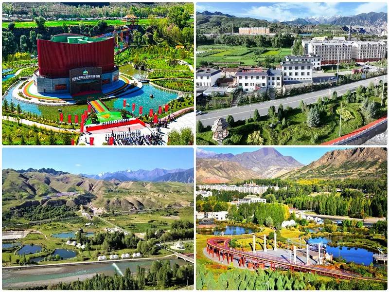 1766111815671525.jpg 8.jpg