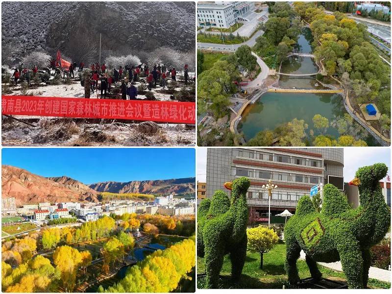 1766111825578474.jpg 9.jpg