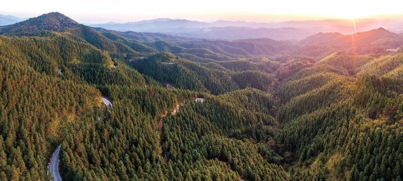 1766383751558958.jpg 4.jpg