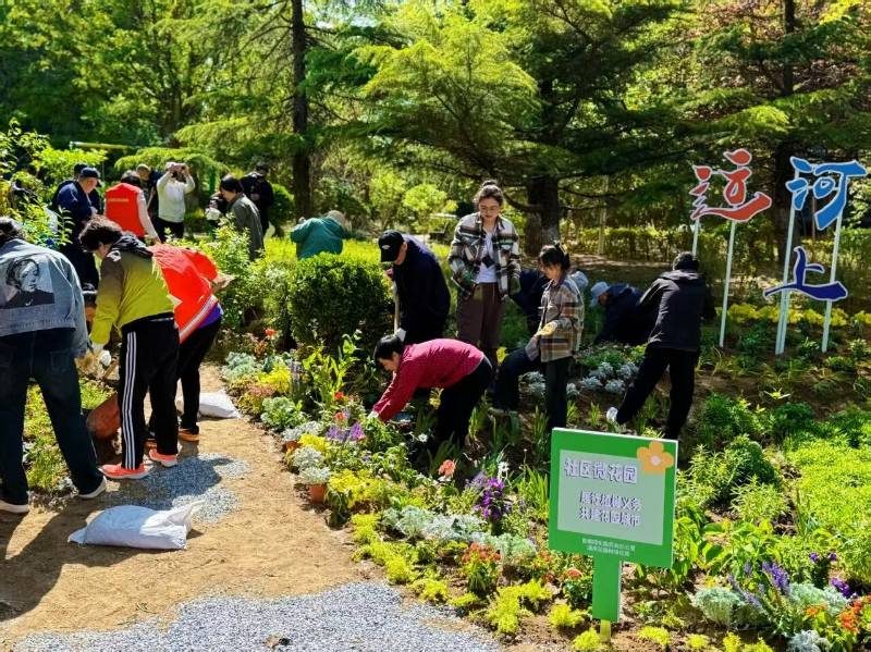 1767158229237482.jpg 1.jpg