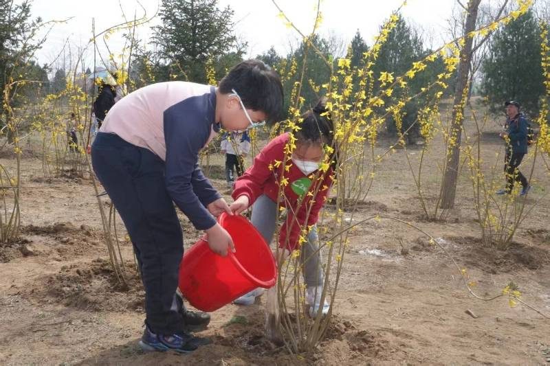 1767158291785506.jpg 2.jpg