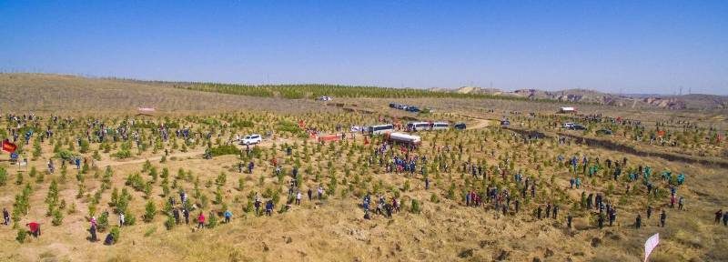 1767158331439203.jpg 3.jpg