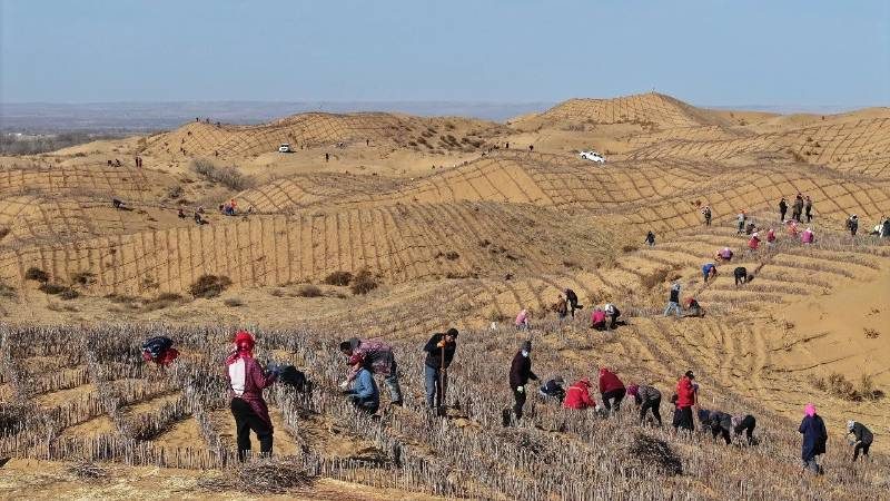 1767158356531651.jpg 4.jpg