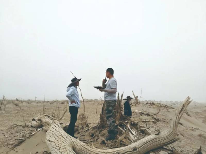 1767162576598549.jpg 1 (1).jpg