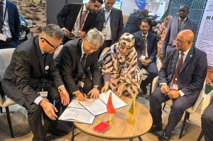 1767162609850212.jpg 2 (1).jpg