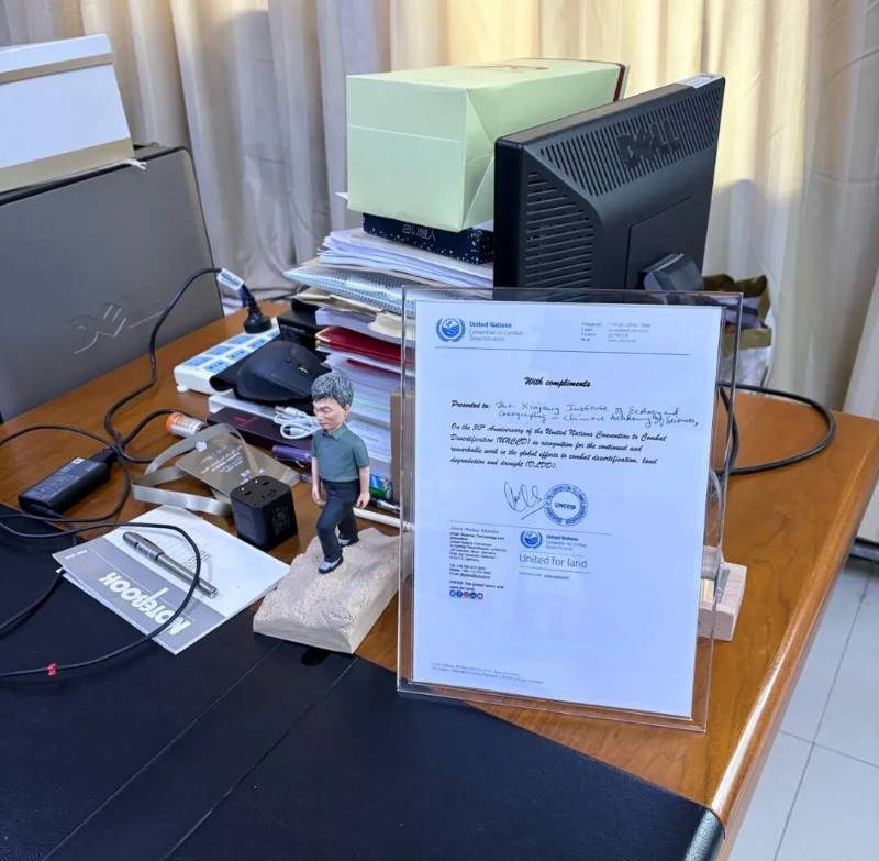 1767162618796205.jpg 3 (1).jpg