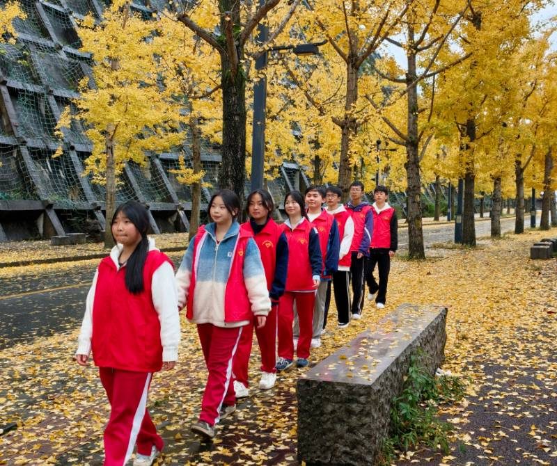 1767579580236291.jpg 3.jpg