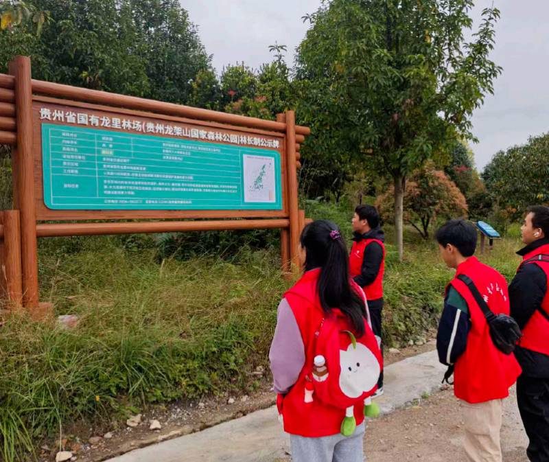 1767579614448764.jpg 4.jpg