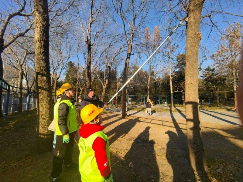 1767763604963878.jpg 8.jpg