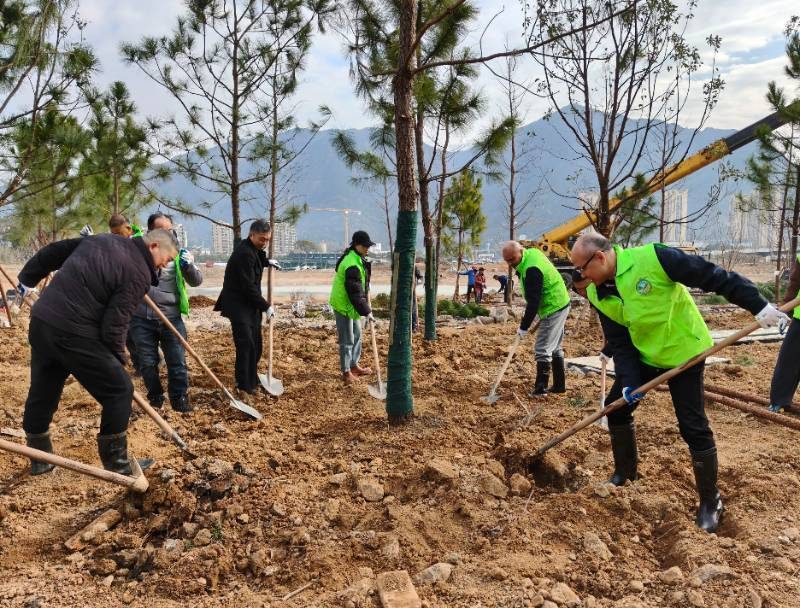 1767855893595900.jpg 3 (1).jpg