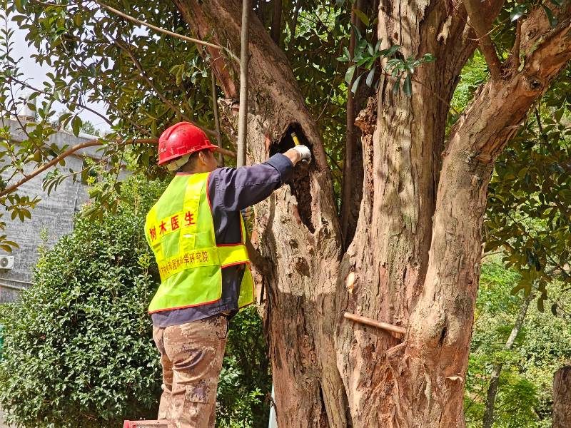 1767946499894958.jpg 4.jpg