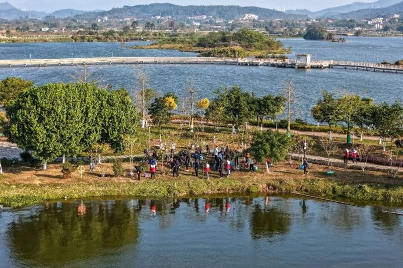 1767947561404238.jpg 5 (1).jpg