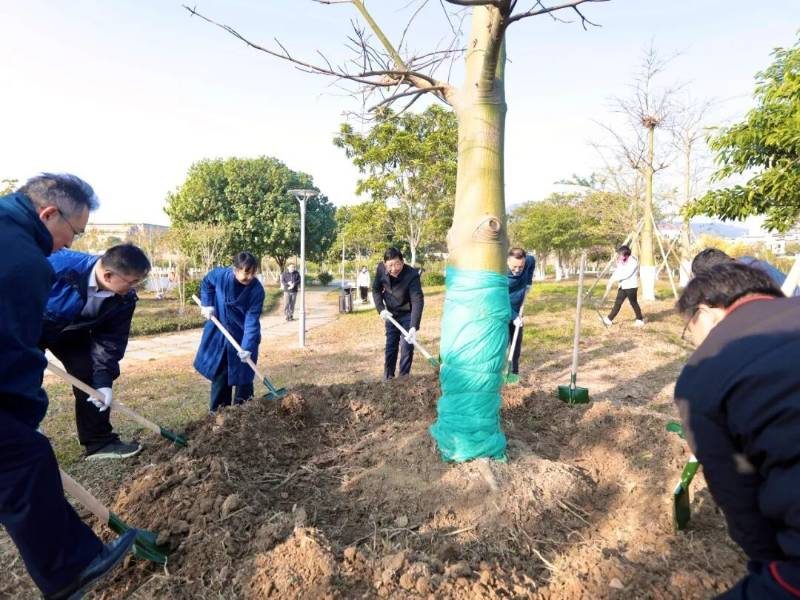 1767947570871578.jpg 6 (1).jpg