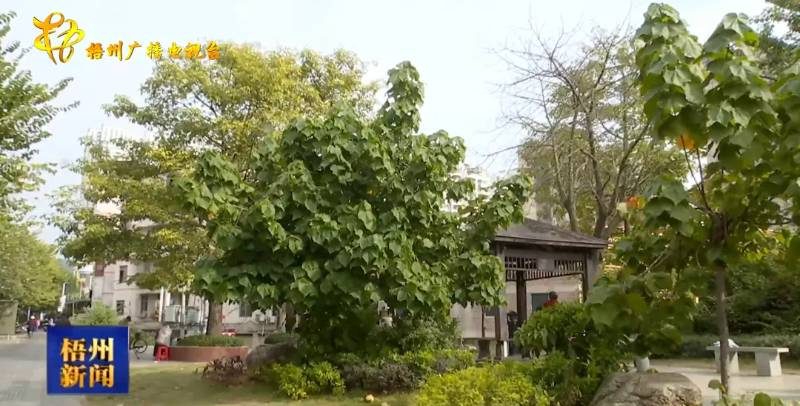 1767948074678190.jpg 10 (1).jpg