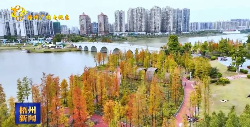 1767948087608997.jpg 11 (1).jpg