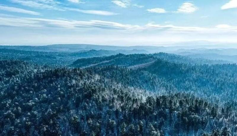 1768185719518940.jpg 4.jpg