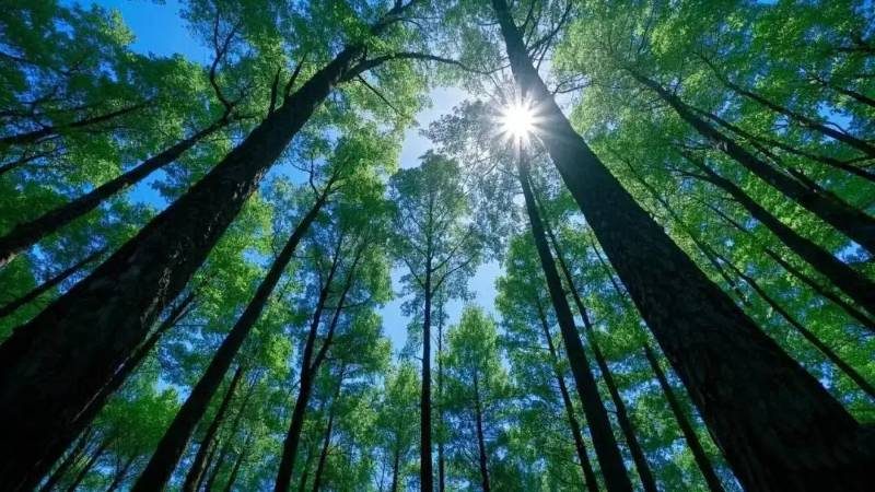 1768185753847636.jpg 7.jpg