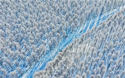 1768287390536958.jpg 1.jpg